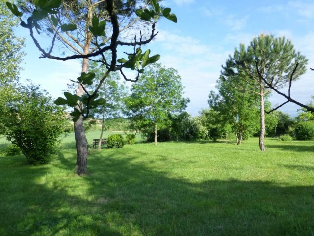 31G301198-07c2ce9d3dfa414fb07b8cb1cf39d0f4