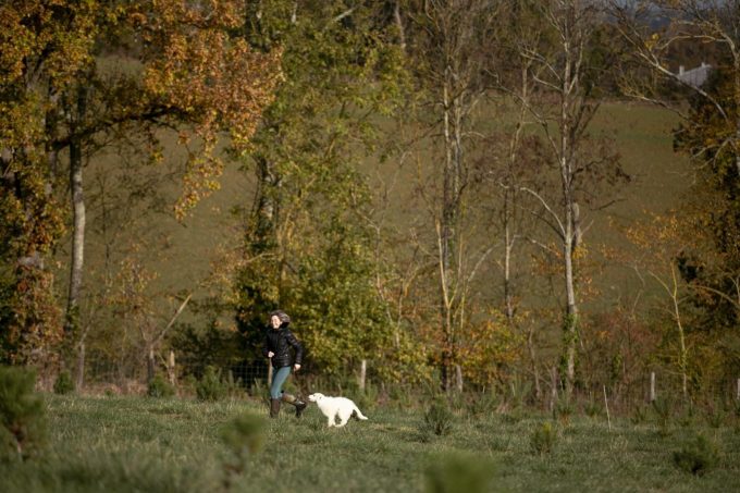 31G301623-380a59ac709f486c9b0626aa6f2ef1e4