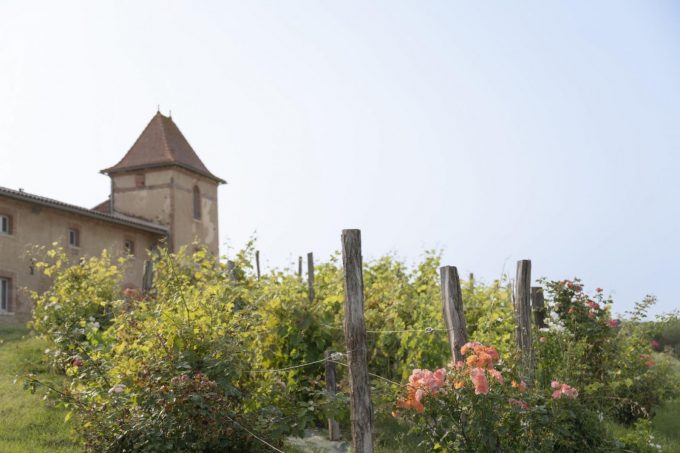 31G301623-9e82dc99c0a8465eae12d3d1e385feec