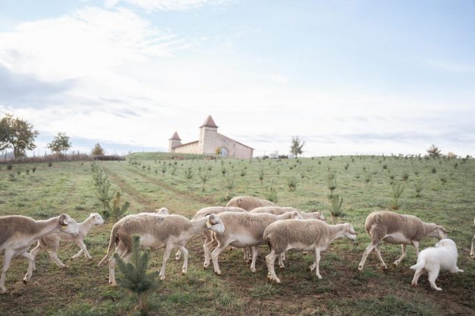 31G301623-a263dcbb458e4e4d935e688571a9961d