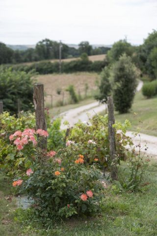 31G301623-f2dd1ed4b2454cbe9cc9a06798c04ef1