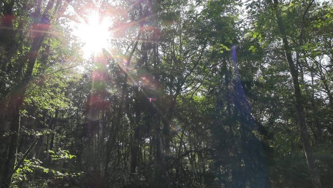 31G301726-0b7e0ccf41bc4e3fb321a0909b64d48b