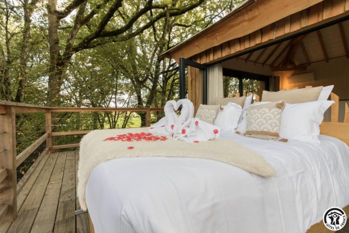 31G301727-2e21ff79a9fb4776b703e23fc4f962d8