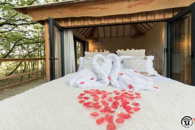 31G301727-5f8fa87a6d0d48fe87a83cd08996e5be