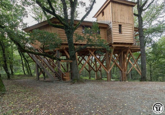 31G301727-98db1cdd66fc4cf1b4774e1399db8bed