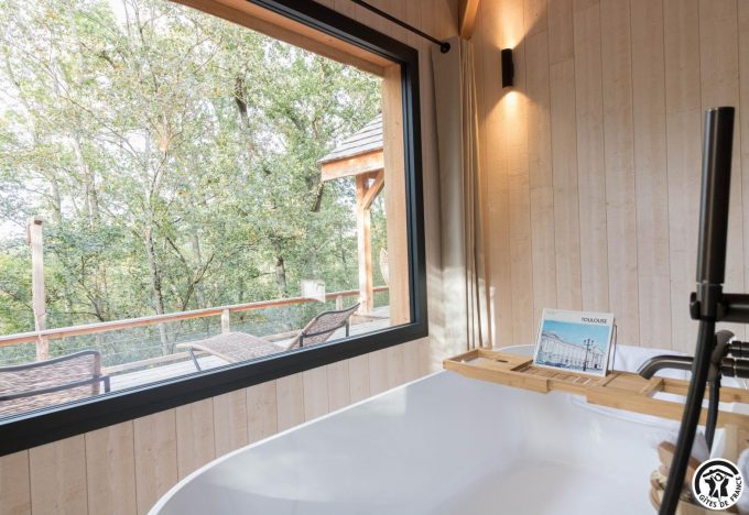 31G301727-df5dfaccfdcd4e538c99efb366bbb2c4