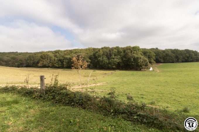 31G400541-8bf378922e0b4a589b932d3b323b0517