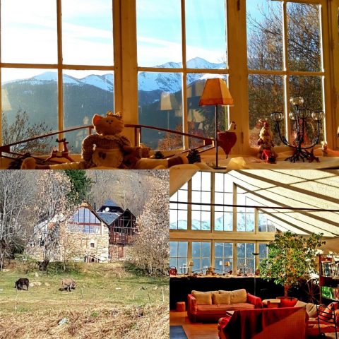 31G400647-3b2ed506394e4fd387d29530c9c6e440