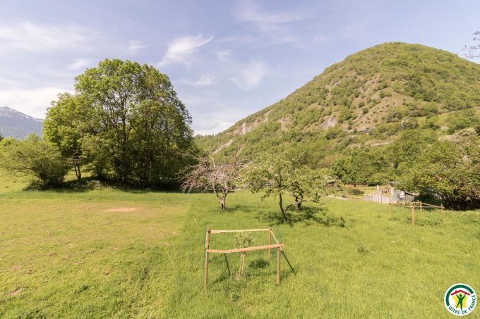 31G400762-66c8cf42c3ae4009bb88a070f66fbf41