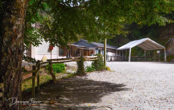 31G400939-6f2e3179946f4ff5a35bf18d6431e9ee