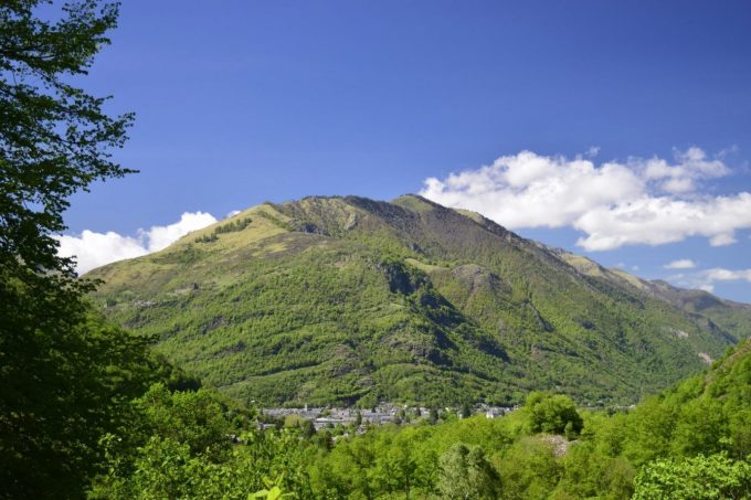 31G400939-6f6e6443818f4160a95c78f34922e500