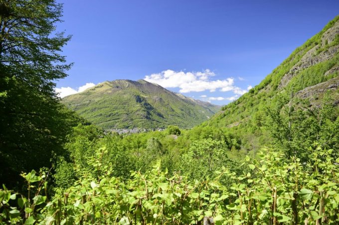 31G400939-7804e4373fca4464af5bf4334a7b097f