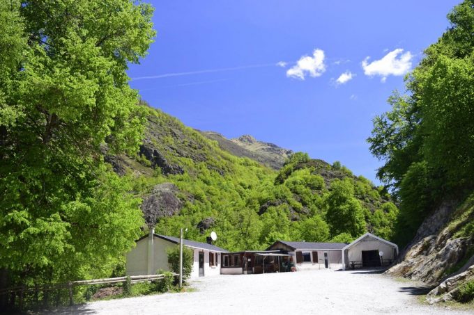 31G400939-9023f619111a4de8b1f4bd74bb60cec5