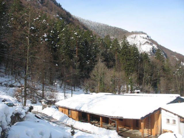 31G400939-b56ae92583fd49d28f451e28f6ca5ec8