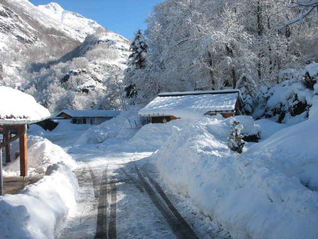 31G400939-d989ec574dba49da8ab9433428f334cb