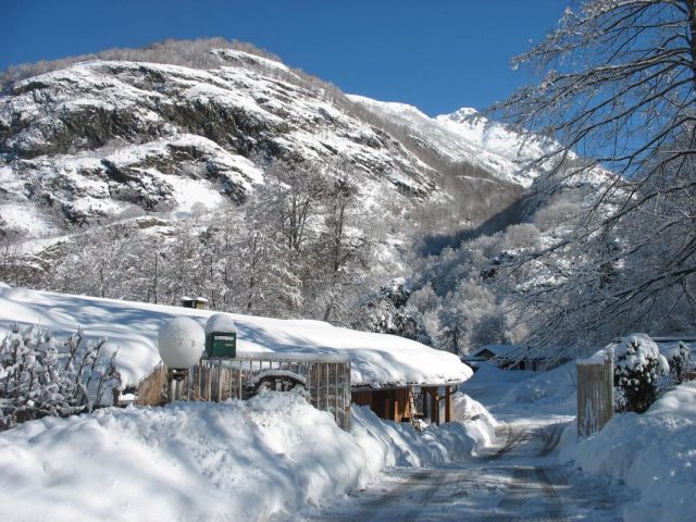 31G400939-f936b417cd6b49f9bdd8ebf41c5af3f3