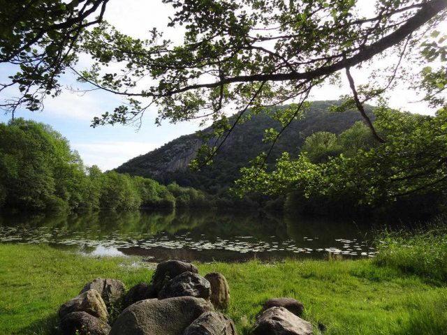 31G401200-20fda85c4e024831a0afb66259a8b609