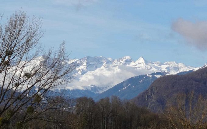 31G401200-71dc76c6c24f422ebc9de663c5e292a0