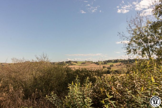 31G401244-ba708850d1504e7b898502c68b601940