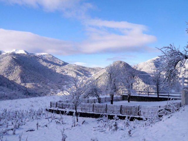 31G401245-08d615e9a6ed4d859987a90d71d00687