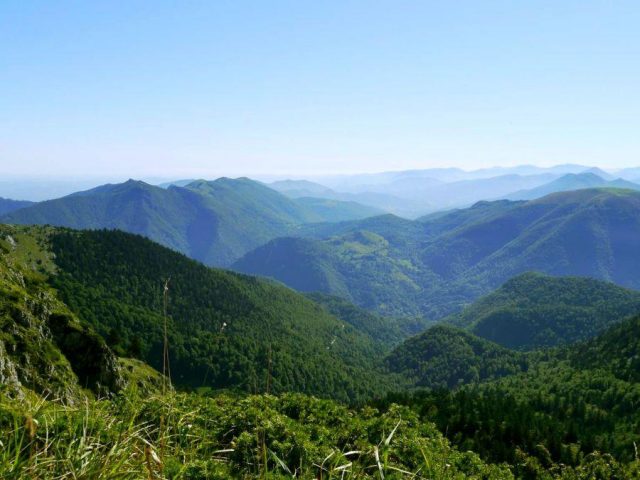 31G401245-1213c7838e5546879110295d075f52ad