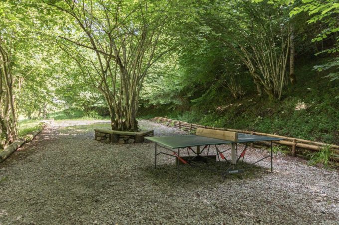 31G401468-22f82d9061a042378ddf12ee39b13e08