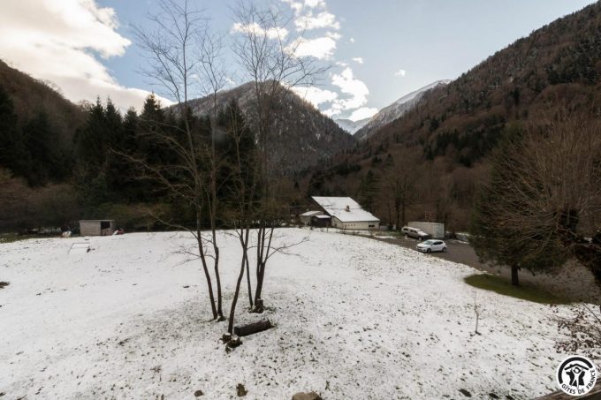 31G401468-c35a6cf27eb1422b8c3496b05ed00240