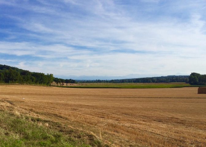 31G401480-2745684ebfc64bb4aeb0fbe86bc35e22