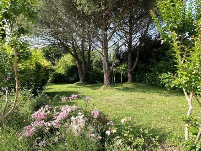 31G401480-7e3f0f4167df425aa1826b8410681579