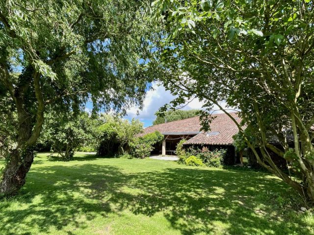 31G401480-be239fdd8ca040679f83001ffd069ce8