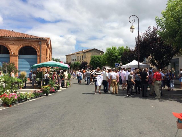 31G401480-db9b1aa781834d6aa1b9ff151fc7c792