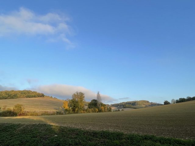 31G401480-e068da367d5e43428f049fedf9cfe606