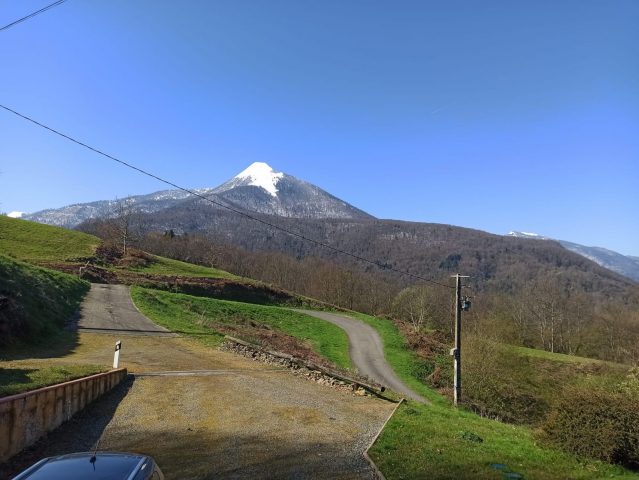 469395954-594381093244288-8551015166273344820-n