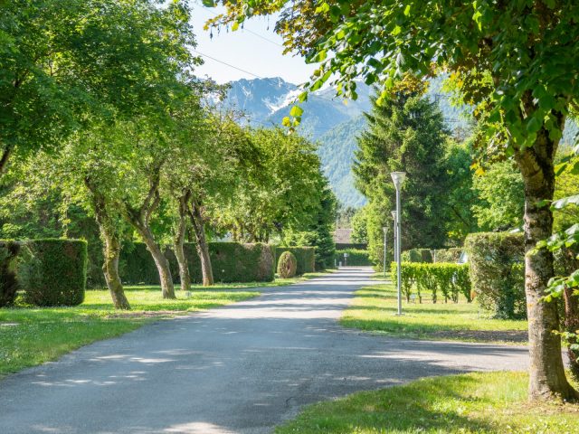 8.Pradelongue-allee-centrale