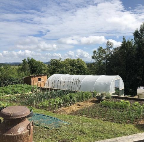 AAFD5286-D15B-4660-9E40-52AAFCFAC05B