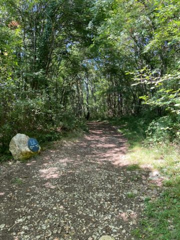 AURIGNAC—Sentier-de-l-abri—OTIDestinationCommingesPyrenees