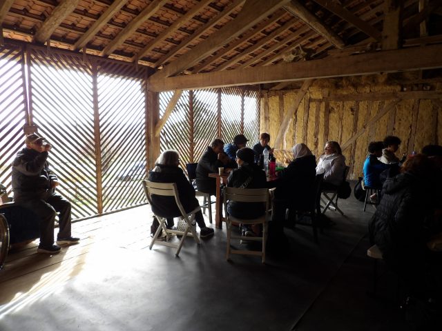 Alpagas-et-colibri-1—Gensac-de-Boulogne