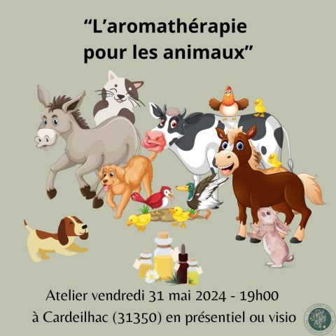 Aromatherapie-des-animaux-Cardeilhac-Comminges-Pyrenees