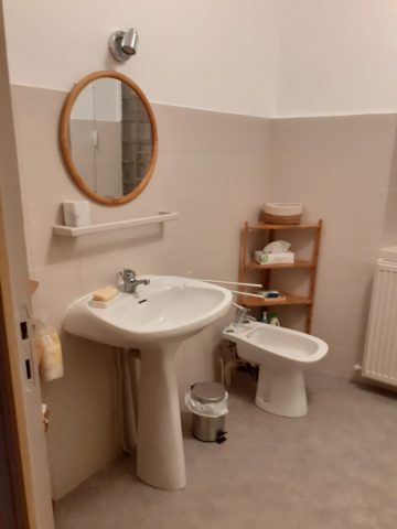 Au-Grand-Cedre—Salle-d-eau—-Miramont-de-Comminges