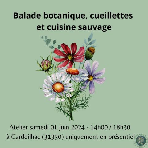 Balade-botanique-Cardeilhac-Comminges-Pyrenees-4