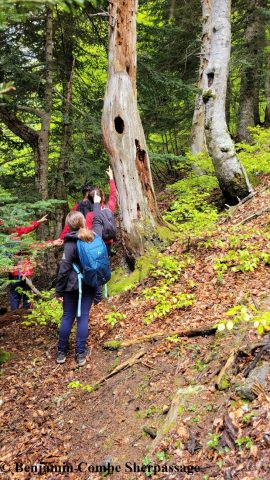 Benjamin-Combe—–Guide-de-Moyenne-Montagne—Comminges-Pyrenees