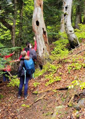 BENJAMIN COMBE – ACCOMPAGNATEUR MOYENNE MONTAGNE