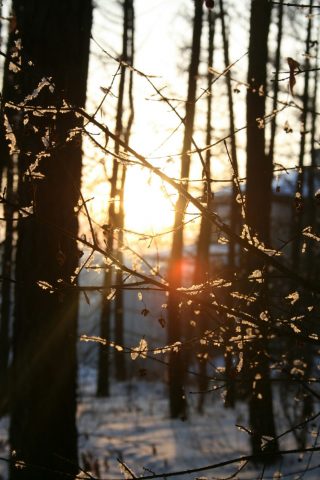 Bien-etre-energetique-Comminges-Pyrenees
