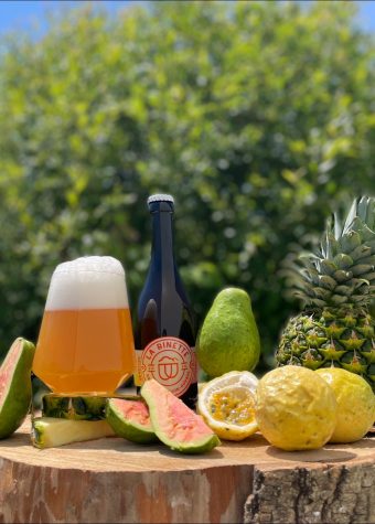 BRASSERIE LA BINETTE