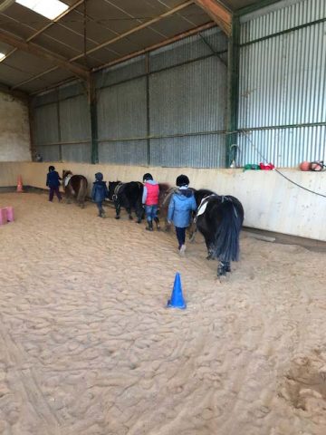 Centre-equestre-Les-farfadets–Les-enfants—-Escanecrabe