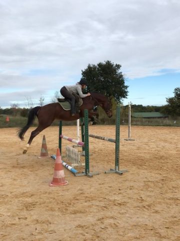 Centre-equestre-Les-farfadets–Saut-d-obstacle—Escanecrabe