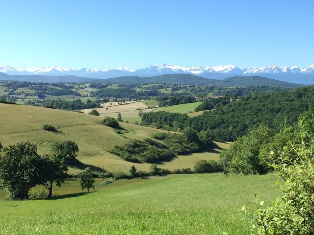 Chambres-d-hotes–Toscane-Occitane–Samouillan–comminges-pyrenees–campagne–nature