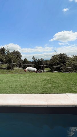 Chambres-d-hotes-Chateau-Mariande-Paysage—Estancarbon–Comminges-Pyrenees