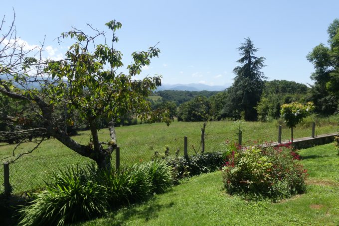 Dans-un-ecrin-de-verdure—Le-Jardin—Cuguron—Comminges-Pyrenees