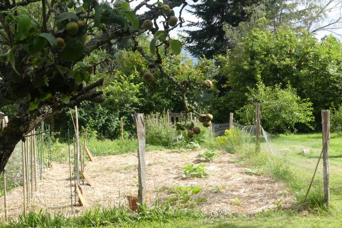 Dans-un-ecrin-de-verdure–Cuguron—Comminges-Pyrenees